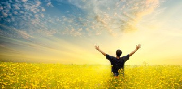 Intoxication à la vitamine D