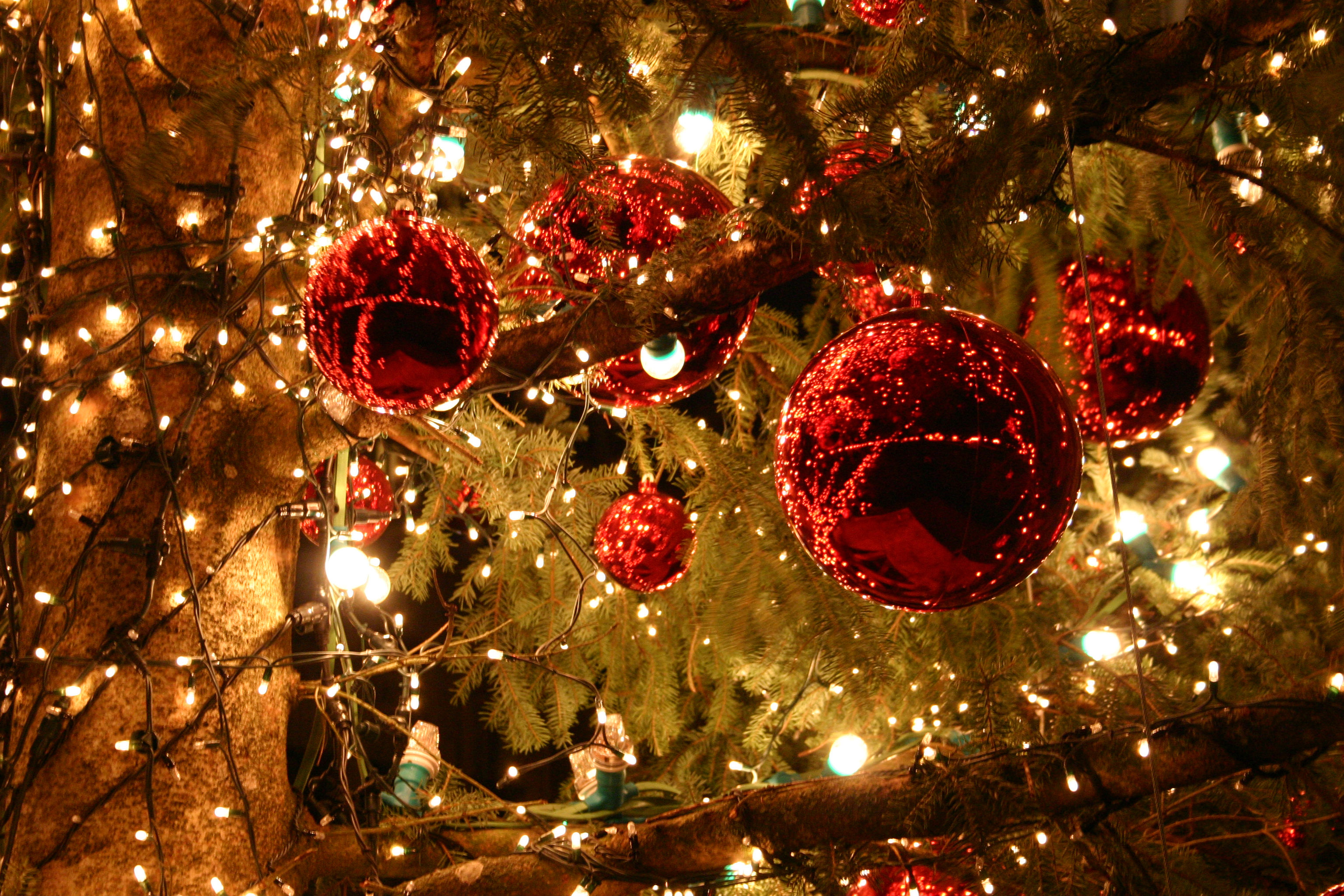 Soirée de Noël 2011